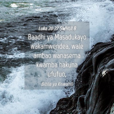Picture 04 - Luka 20:27 SWHULB - Baadhi ya Masadukayo wakamwendea, wale ambao - Bible Verse Picture
