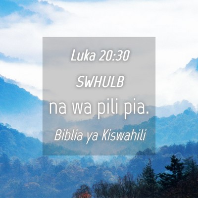 Picture 04 - Luka 20:30 SWHULB - na wa pili - Bible Verse Picture