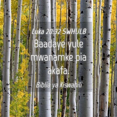 Picture 04 - Luka 20:32 SWHULB - Baadaye yule mwanamke pia - Bible Verse Picture