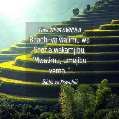 Picture 04 - Luka 20:39 SWHULB - Baadhi ya walimu wa Sheria wakamjibu, 'Mwalimu, - Bible Verse Picture