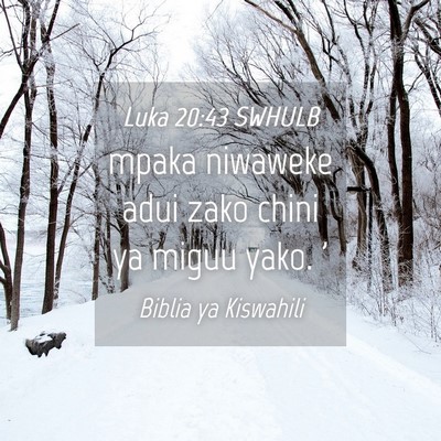 Picture 04 - Luka 20:43 SWHULB - mpaka niwaweke adui zako chini ya miguu yako. - Bible Verse Picture