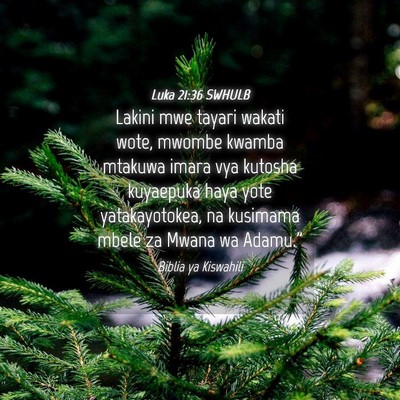 Picture 04 - Luka 21:36 SWHULB - Lakini mwe tayari wakati wote, mwombe kwamba - Bible Verse Picture