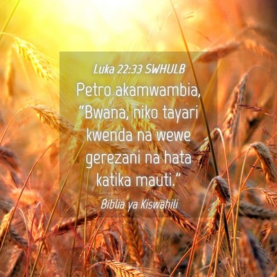 Picture 04 - Luka 22:33 SWHULB - Petro akamwambia, “Bwana, niko tayari kwenda na - Bible Verse Picture