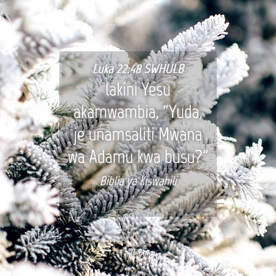 Picture 04 - Luka 22:48 SWHULB - lakini Yesu akamwambia, “Yuda, je unamsaliti - Bible Verse Picture