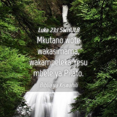 Picture 04 - Luka 23:1 SWHULB - Mkutano wote wakasimama, wakampeleka Yesu mbele - Bible Verse Picture