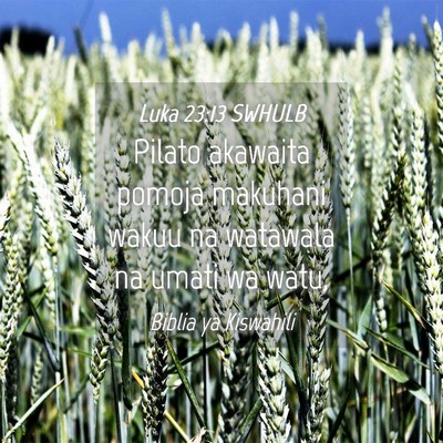 Picture 04 - Luka 23:13 SWHULB - Pilato akawaita pomoja makuhani wakuu na watawala - Bible Verse Picture