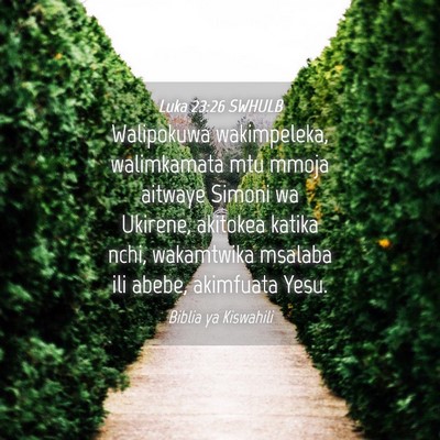 Picture 04 - Luka 23:26 SWHULB - Walipokuwa wakimpeleka, walimkamata mtu mmoja - Bible Verse Picture