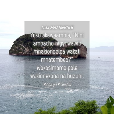 Picture 04 - Luka 24:17 SWHULB - Yesu akawaambia, “Nini ambacho ninyi wawili - Bible Verse Picture