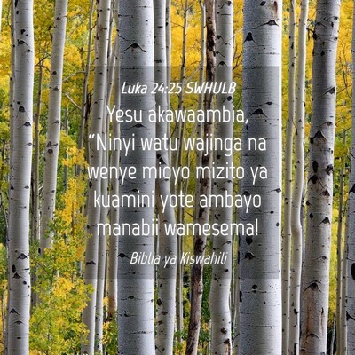 Picture 04 - Luka 24:25 SWHULB - Yesu akawaambia, “Ninyi watu wajinga na wenye - Bible Verse Picture