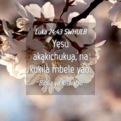 Picture 04 - Luka 24:43 SWHULB - Yesu akakichukua, na kukila mbele - Bible Verse Picture