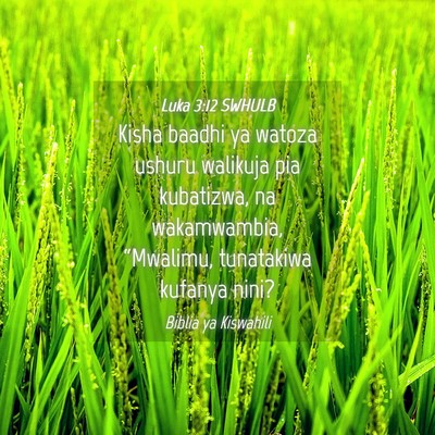 Picture 04 - Luka 3:12 SWHULB - Kisha baadhi ya watoza ushuru walikuja pia - Bible Verse Picture