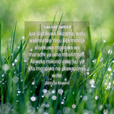 Picture 04 - Luka 4:40 SWHULB - Jua lilipokuwa likizama, watu walimletea Yesu - Bible Verse Picture