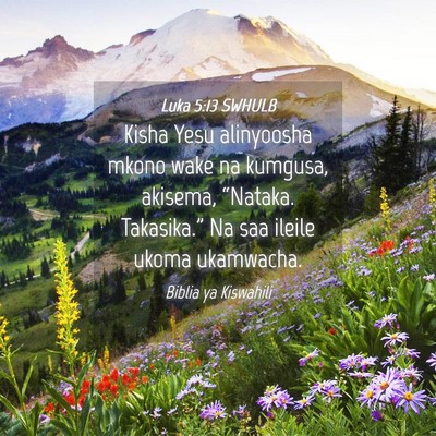 Picture 04 - Luka 5:13 SWHULB - Kisha Yesu alinyoosha mkono wake na kumgusa, - Bible Verse Picture