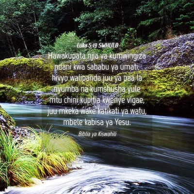 Picture 04 - Luka 5:19 SWHULB - Hawakupata njia ya kumwingiza ndani kwa sababu ya - Bible Verse Picture