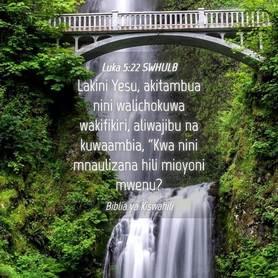 Picture 04 - Luka 5:22 SWHULB - Lakini Yesu, akitambua nini walichokuwa - Bible Verse Picture