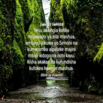 Picture 04 - Luka 5:3 SWHULB - Yesu akaingia katika mojawapo ya zile mashua, - Bible Verse Picture