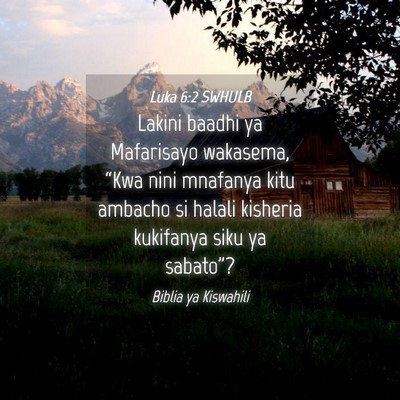 Picture 04 - Luka 6:2 SWHULB - Lakini baadhi ya Mafarisayo wakasema, “Kwa nini - Bible Verse Picture