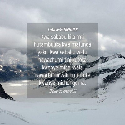 Picture 04 - Luka 6:44 SWHULB - Kwa sababu kila mti hutambulika kwa matunda yake. - Bible Verse Picture