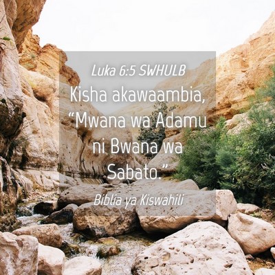 Picture 04 - Luka 6:5 SWHULB - Kisha akawaambia, “Mwana wa Adamu ni Bwana wa - Bible Verse Picture
