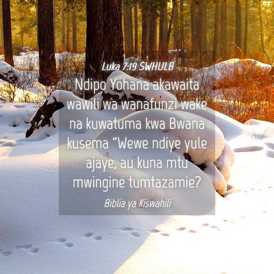 Picture 04 - Luka 7:19 SWHULB - Ndipo Yohana akawaita wawili wa wanafunzi wake na - Bible Verse Picture