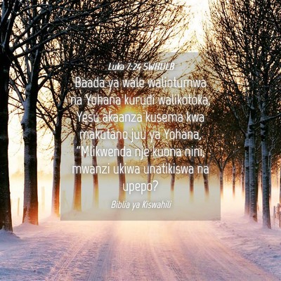 Picture 04 - Luka 7:24 SWHULB - Baada ya wale waliotumwa na Yohana kurudi - Bible Verse Picture