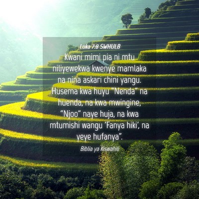 Picture 04 - Luka 7:8 SWHULB - Kwani mimi pia ni mtu niliyewekwa kwenye mamlaka - Bible Verse Picture