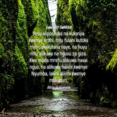 Picture 04 - Luka 8:27 SWHULB - Yesu aliposhuka na kukanya kwenye ardhi, mtu - Bible Verse Picture