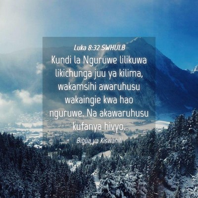 Picture 04 - Luka 8:32 SWHULB - Kundi la Nguruwe lilikuwa likichunga juu ya - Bible Verse Picture