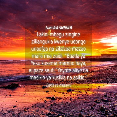 Picture 04 - Luka 8:8 SWHULB - Lakini mbegu zingine ziliangukia kwenye udongo - Bible Verse Picture