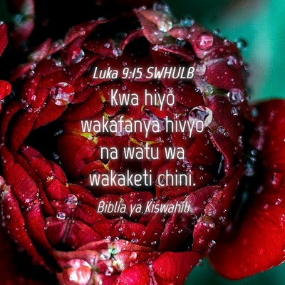 Picture 04 - Luka 9:15 SWHULB - Kwa hiyo wakafanya hivyo na watu wa wakaketi - Bible Verse Picture