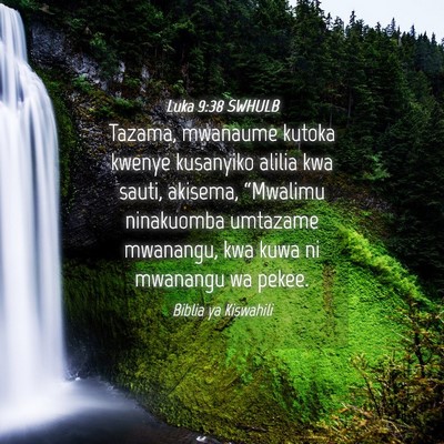 Picture 04 - Luka 9:38 SWHULB - Tazama, mwanaume kutoka kwenye kusanyiko alilia - Bible Verse Picture