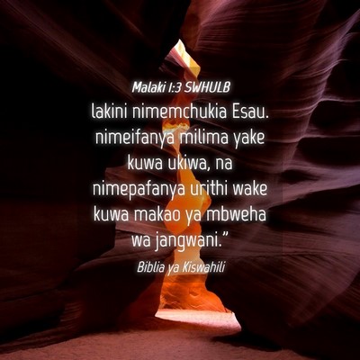 Picture 04 - Malaki 1:3 SWHULB - lakini nimemchukia Esau. nimeifanya milima yake - Bible Verse Picture