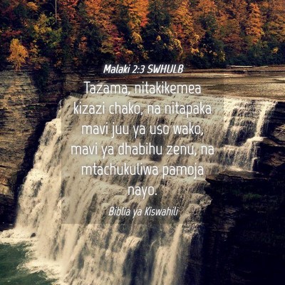 Picture 04 - Malaki 2:3 SWHULB - Tazama, nitakikemea kizazi chako, na nitapaka - Bible Verse Picture