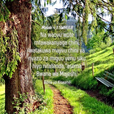 Picture 04 - Malaki 4:3 SWHULB - Na waovu wote mtawakanyaga chini, watakuwa majivu - Bible Verse Picture