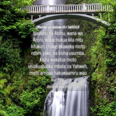 Picture 04 - Mambo ya Walawi 10:1 SWHULB - Nadabu na Abihu, wana wa Aroni, wakachukua kila - Bible Verse Picture