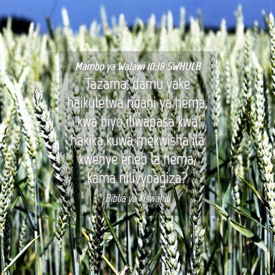 Picture 04 - Mambo ya Walawi 10:18 SWHULB - Tazama, damu yake haikuletwa ndani ya hema, kwa - Bible Verse Picture