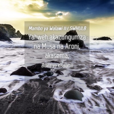 Picture 04 - Mambo ya Walawi 11:1 SWHULB - Yahweh akazungumza na Musa na Aroni, - Bible Verse Picture