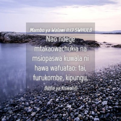 Picture 04 - Mambo ya Walawi 11:13 SWHULB - Nao ndege mtakaowachukia na msiopaswa kuwala ni - Bible Verse Picture