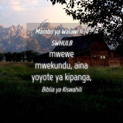 Picture 04 - Mambo ya Walawi 11:14 SWHULB - mwewe mwekundu, aina yoyote ya - Bible Verse Picture
