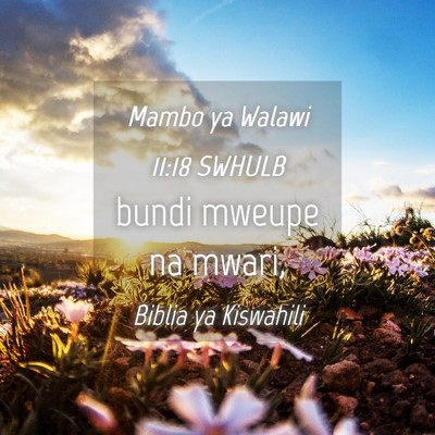 Picture 04 - Mambo ya Walawi 11:18 SWHULB - bundi mweupe na - Bible Verse Picture