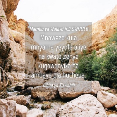 Picture 04 - Mambo ya Walawi 11:3 SWHULB - Mnaweza kula mnyama yeyote aliye na kwato zenye - Bible Verse Picture
