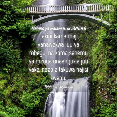 Picture 04 - Mambo ya Walawi 11:38 SWHULB - Lakini kama maji yanawekwa juu ya mbegu, na kama - Bible Verse Picture