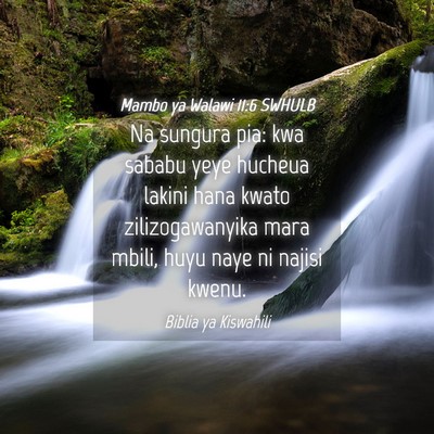 Picture 04 - Mambo ya Walawi 11:6 SWHULB - Na sungura pia: kwa sababu yeye hucheua lakini - Bible Verse Picture