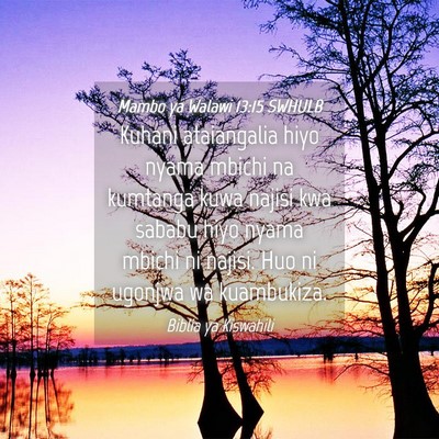 Picture 04 - Mambo ya Walawi 13:15 SWHULB - Kuhani ataiangalia hiyo nyama mbichi na kumtanga - Bible Verse Picture