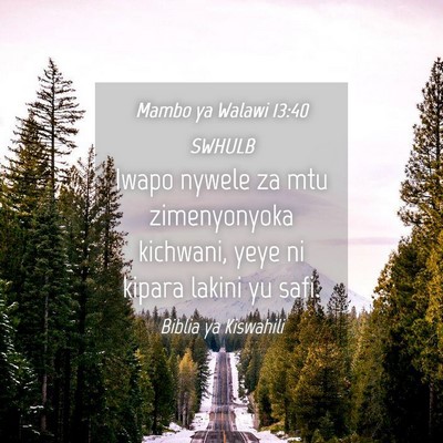Picture 04 - Mambo ya Walawi 13:40 SWHULB - Iwapo nywele za mtu zimenyonyoka kichwani, yeye - Bible Verse Picture