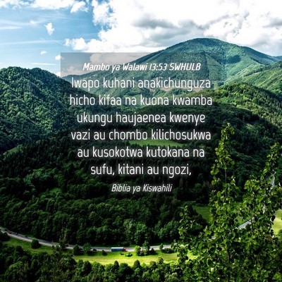 Picture 04 - Mambo ya Walawi 13:53 SWHULB - Iwapo kuhani anakichunguza hicho kifaa na kuona - Bible Verse Picture