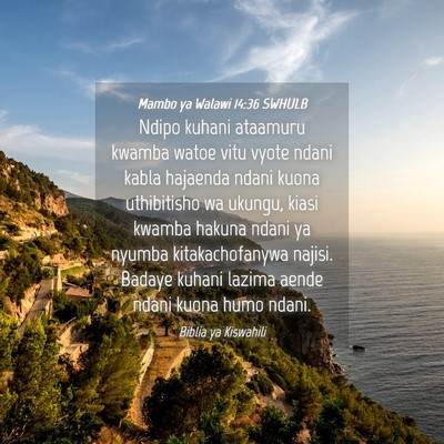 Picture 04 - Mambo ya Walawi 14:36 SWHULB - Ndipo kuhani ataamuru kwamba watoe vitu vyote - Bible Verse Picture