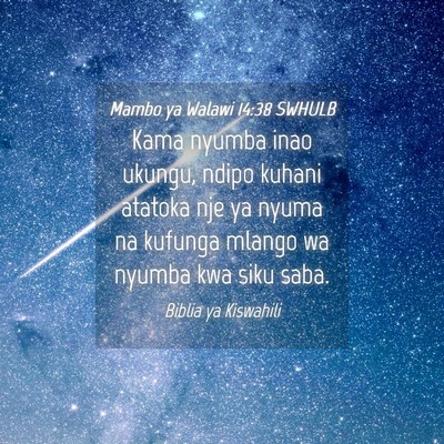 Picture 04 - Mambo ya Walawi 14:38 SWHULB - Kama nyumba inao ukungu, ndipo kuhani atatoka nje - Bible Verse Picture
