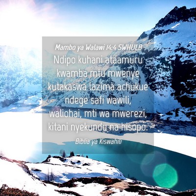 Picture 04 - Mambo ya Walawi 14:4 SWHULB - Ndipo kuhani ataamuru kwamba mtu mwenye kutakaswa - Bible Verse Picture