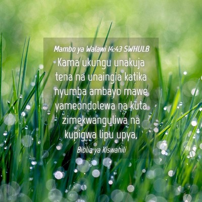 Picture 04 - Mambo ya Walawi 14:43 SWHULB - Kama ukungu unakuja tena na unaingia katika - Bible Verse Picture